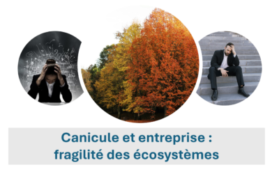 L&rsquo;Été des fragilités : ce que la nature nous enseigne pour votre entreprise
